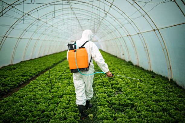 Reliable Russellton, PA Pest Control Solutions