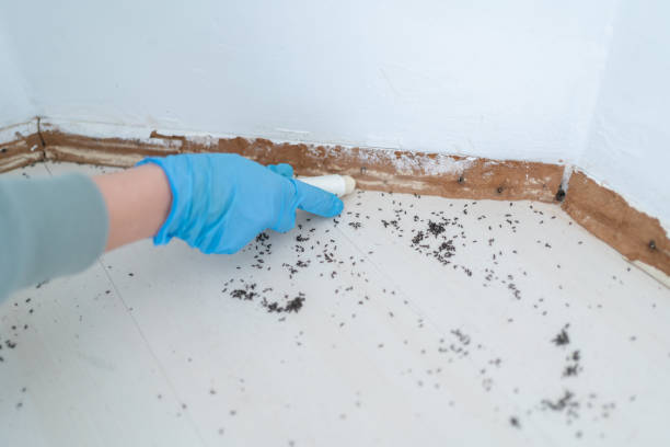 Best Pest Control for Homes  in Russellton, PA